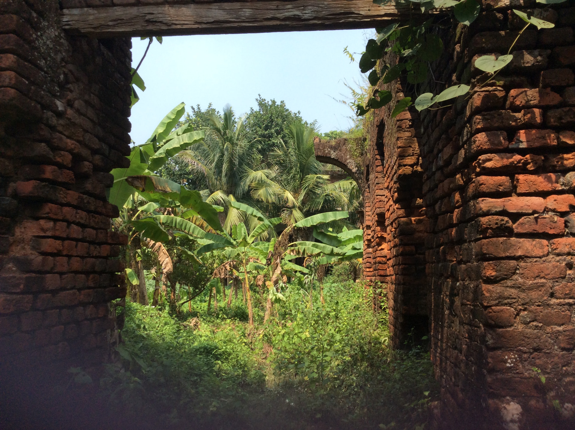 Looking through a brick doorway under an old wooden beam into the overgrown inside of the ruin, with banana and coconut palms and a brick arch